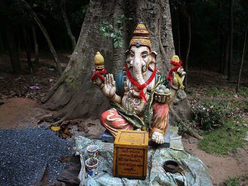 Charter Sri Lanka 2026 ᐈ 54 Hoteluri